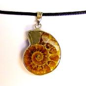 AMMONITE POLISHED FACE FOSSIL PENDANT.   SPR14644PEND