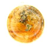 SMOKEY QUARTZ SPHERE WITH RED RULTILE INCLUSIONS. SP9120POL