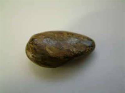 Bronzite - Tumbled POLBRO