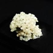 Boracite Raw Crystal Specimen.   SP15876 