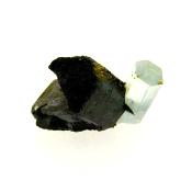Aquamarine Crystal in Black Tourmaline.  SP15558