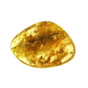 Copal (Young Amber) Fully Polished Specimen.   SP15985POL
