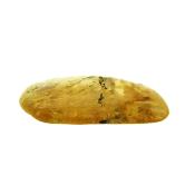 Copal (Young Amber) Fully Polished Specimen.   SP15988POL