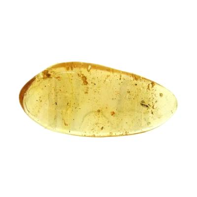 Copal (Young Amber) Fully Polished Specimen.   SP15984POL