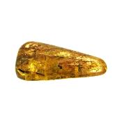 Copal (Young Amber) Fully Polished Specimen.   SP15986POL