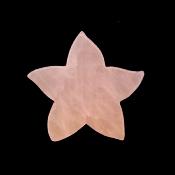 Starfish Carving in Rose Quartz.   SPR15235POL