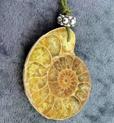 POLISHED FACE AMMONITE FOSSIL PENDANT. SP4201PEND
