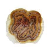 Agate Polished Geode Slice Specimen Coloured Tan.   SP15685POL