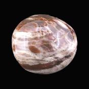 Petrified Wood Polished Pebble/ Palm Stone.   SP17366POL