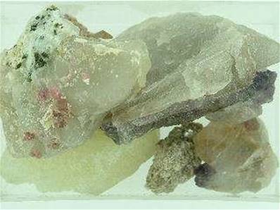 SINGLE LOT TRAY. WHTRAYAELTQMIC