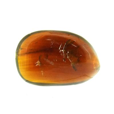 Sumatran Blue Amber Polished Specimen.   SP15812POL
