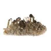 Smokey Quartz Cluster Specimen.   SP16272