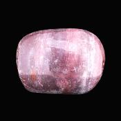 Petrified Wood Polished Pebble/ Palm Stone.   SP17364POL