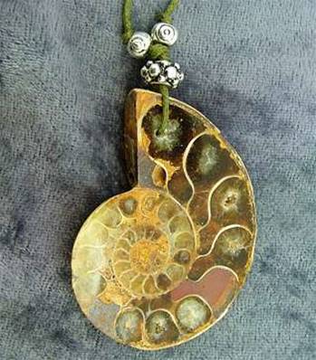 POLISHED FACE AMMONITE FOSSIL PENDANT. SP4197PEND
