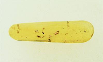 MADAGASCAN COPAL (YOUNG AMBER) SPECIMEN. SP6967