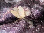 AMETHYST CAVE SPECIMEN sp13450  with frosted calcite flower  