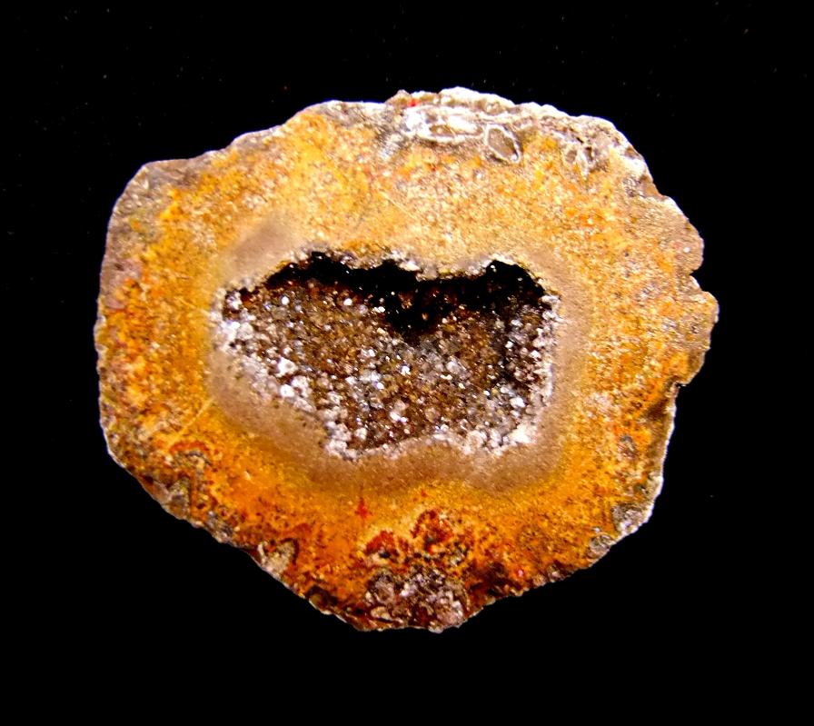 AGATE BROWN RIMMED GEODE SECTION. SP10655POL