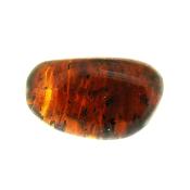 Sumatran Blue Amber Polished Specimen.   SP15814POL