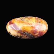 Petrified Wood Polished Pebble/ Palm Stone.   SP17365POL