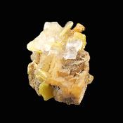 Wulfenite Raw Crystal Specimen.   SP17697