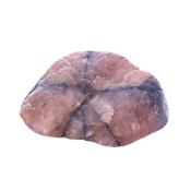 Chiastolite Cross Polished Face Crystal Specimen.   SP17723POL