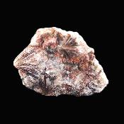 lamprophyllite Raw Crystal Specimen.   SP17873