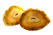 POLISHED FACE AGATE NODULE PAIR. SP9398POL