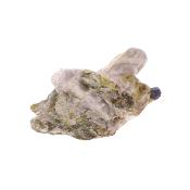 Hydrotalcite Lizardite Raw crystal Specimen.   SP16947