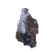 Vivianite Crystal Blades In Matrix Specimen.   SP17006