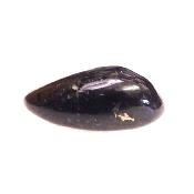 Nuummite Polished Pebble Specimen.   SP17238POL