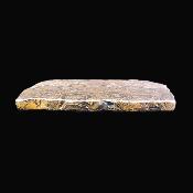 Polished Face Stromatolites Fossil Specimen.   SP17503POL