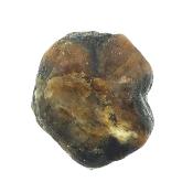 Chiastolite Cross Polished Face Crystal Specimen.   SP17724POL