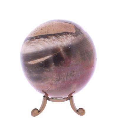 Gemstone Sphere In Petrified Wood.   SP17810POL