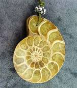 POLISHED FACE AMMONITE FOSSIL PENDANT. SP4196PEND