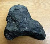 PERUVIAN AMMONITE FOSSIL GROUP IN MATRIX. SP7752