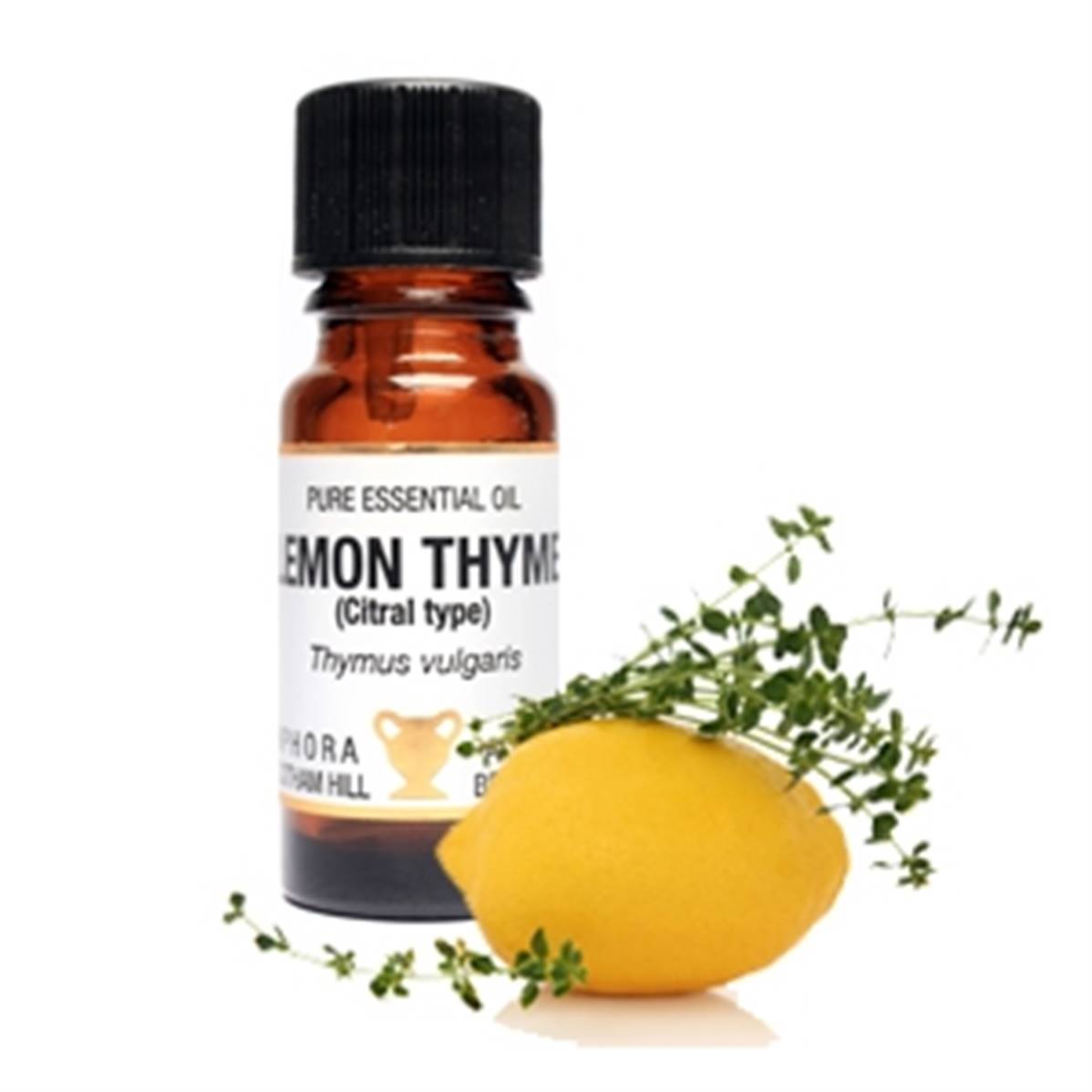 PURE ESSENTIAL OIL LEMON THYME (citral type), thymus vulgaris. SPR8479