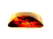 BALTIC AMBER POLISHED SPECIMEN.   SP12032POL