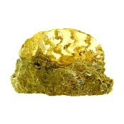 FOSSIL AMMONITE SECTION IN MATRIX SLICE  SPECIMEN.   SP13858POL