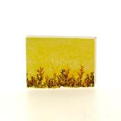 Pyrolusite Dendrites In Matrix Crystal Specimen.   SP14970