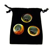 Set of three Green Shiva Eye Shells.   SP1538POL