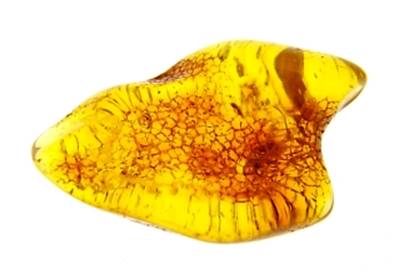 POLISHED BALTIC AMBER SPECIMEN. SP9351POL