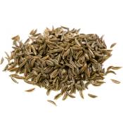 PURE ESSENTIAL OIL - CARAWAY. Carum Carvi.   SPR11561
