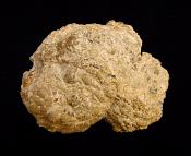 PATAGONIAN AGATE NODULE SECTION.   SP10242POL