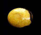 SEPTARIAN POLISHED PALMSTONE.   SP12326POL