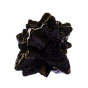 Prophecy Stone (Ilmenite) Raw Crystal Specimen.   SP16774