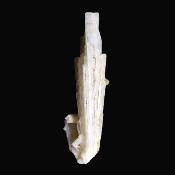 Scolocite 'Fan' Crystal Specimen.   SP16942