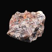 lamprophyllite Raw Crystal Specimen.   SP17873