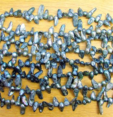 FRESH WATER PEARL BEAD STRINGS (DYED BLUE). SPR4902