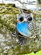 Owl pendant set with a Gemstone Body of OPALITE inset with faceted eyes .   owl 1
