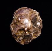 BOTRYOIDAL LEPIDOLITE RAW CRYSTAL SPECIMEN.   SP10385